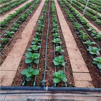 Капково напояване